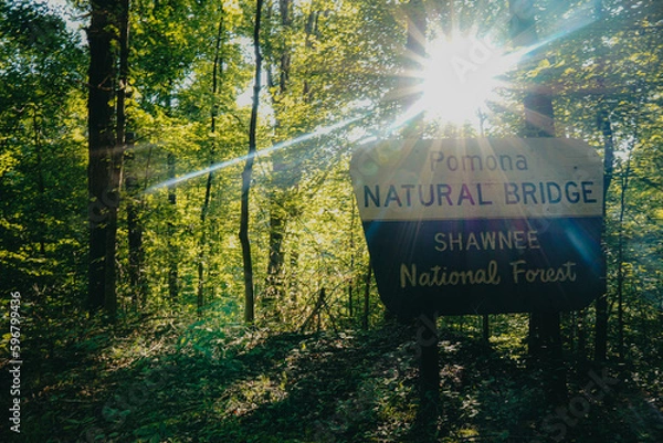 Obraz southern illinois