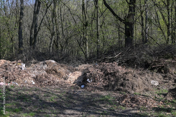 Obraz garbage in the forest , image taken in countryside