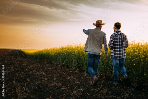 Fototapeta Two farmers walking on a farmland at unset and talking.