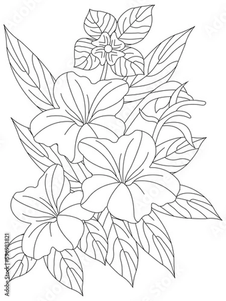 Obraz Vector illustration with flowers. Coloring page. Garden print. Monochrome line drawing. Flower, floral painting. Graphic line art