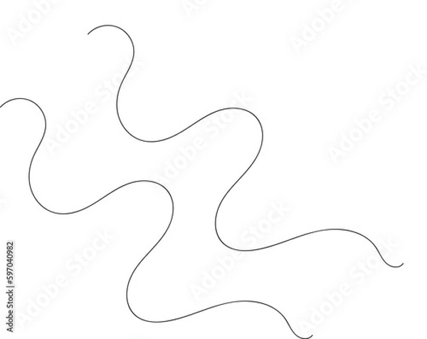 Fototapeta Graceful Intricacies: Delicate Black Line Patterns on White Background