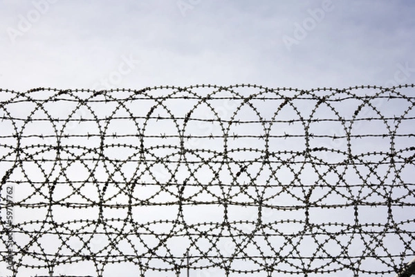 Fototapeta barbed wire