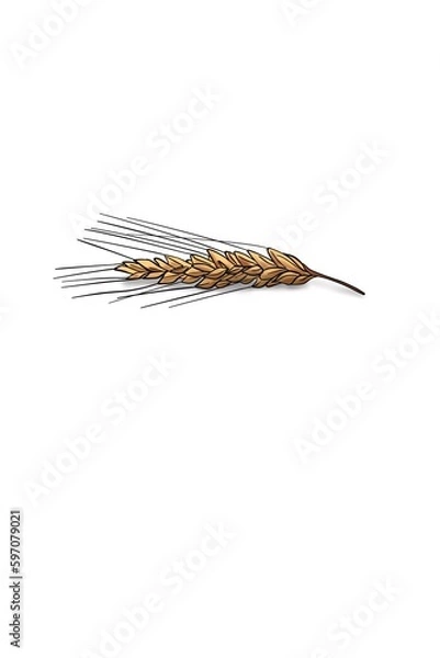 Fototapeta wheat spike