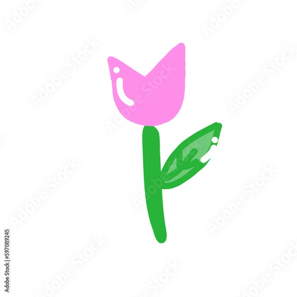 Fototapeta Tulip