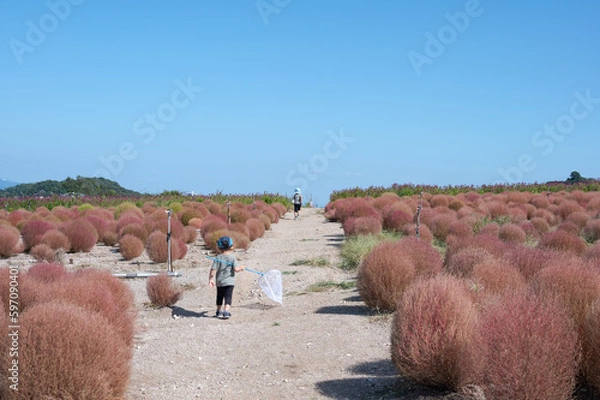 Obraz 　夏休みの思い出