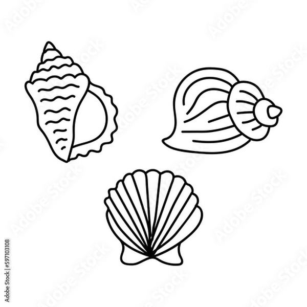 Fototapeta Vector shells in the doodle style. hand drawn seashells black outline sketch isolated elements on white background for design template