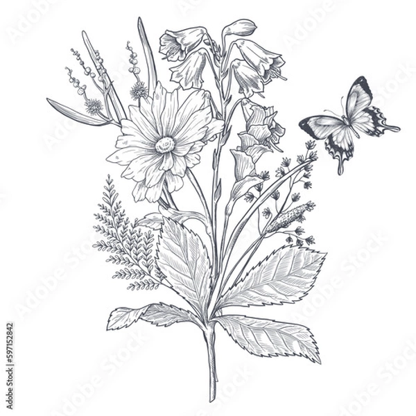 Fototapeta A bouquet of early spring flowers. Botanical style of engraving illustration. Vector. Black and white