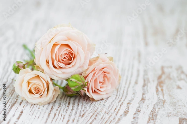 Obraz Light Pink roses