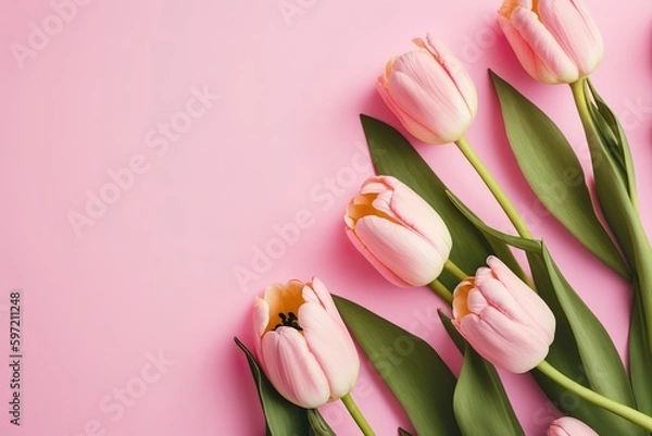 Fototapeta Fleurs de tulipes printanières sur fond rose vue de dessus dans un style plat. Ai générative 