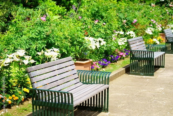 Fototapeta 緑の美しい公園のベンチ