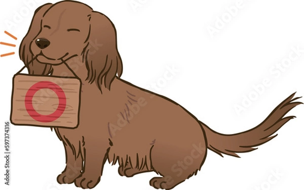 Fototapeta 丸マークを持つダックスフンド（ロングコート、レッド）