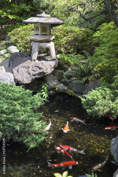 Obraz Traditional Japanese garden with stone lantern and koi carps