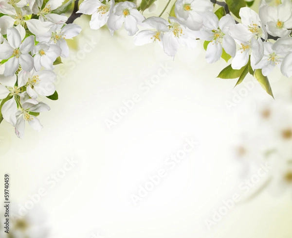 Obraz Spring Cherry Blossom Tła
