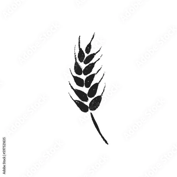 Fototapeta  Isolated hand draw the wheat symbol on white background. Cute vector barley icon. Bakery-drawn logo.