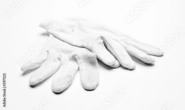 Obraz gloves