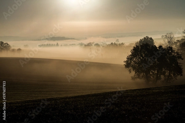 Obraz matin onirique