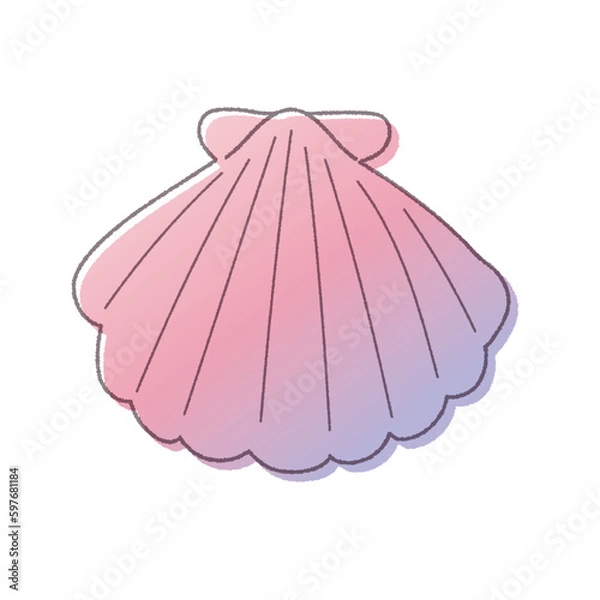 Obraz 貝がらの線画手書きベクターイラスト／グラデーション