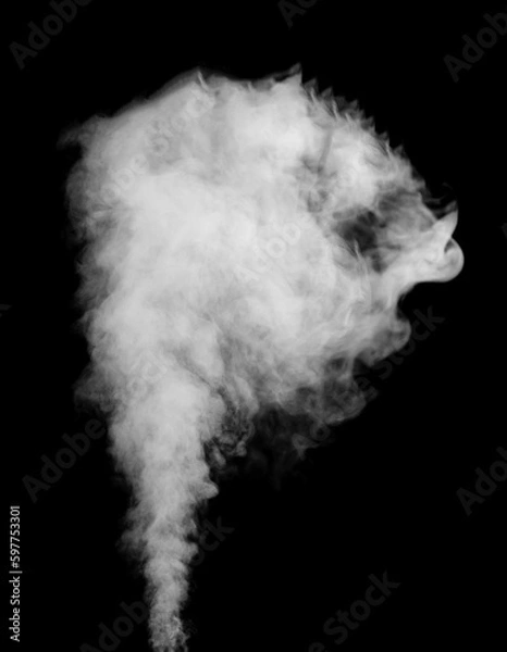 Fototapeta Fragments of abstract white smoke isolated on black background. steam cloud close up