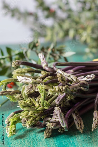 Obraz Close up of Ruscus aculeatus known as a butcher with red berries (pungitopo). Ruscus Aculeatus fresh sprouts.