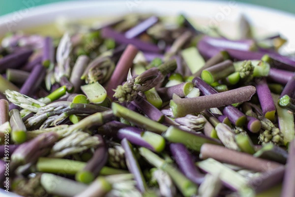 Obraz Butcher's Broom Sprouts isolated on green background. Ruscus Aculeatus Fresh Sprouts in pieces..