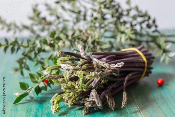 Obraz Close up of Ruscus aculeatus known as a butcher with red berries (pungitopo). Ruscus Aculeatus fresh sprouts.