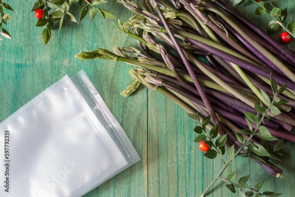 Obraz Butcher's Broom Sprouts isolated on green background. Ruscus Aculeatus Fresh Sprouts to be put under vacuum.