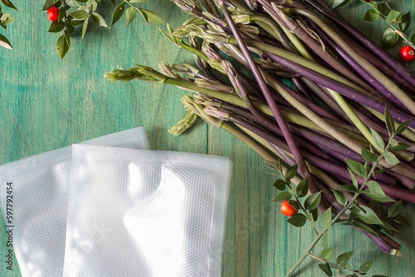 Obraz Butcher's Broom Sprouts isolated on green background. Ruscus Aculeatus Fresh Sprouts to be put under vacuum.