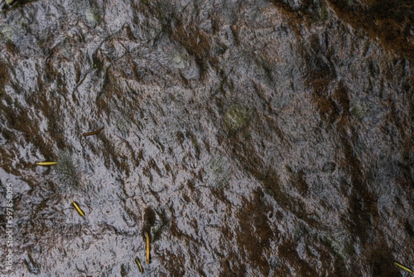 Obraz Wet stone wall texture