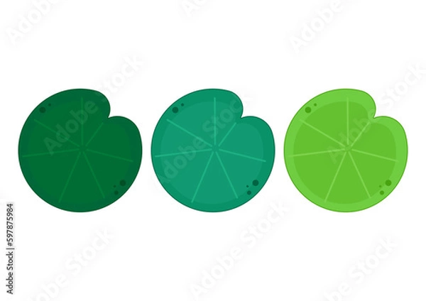 Fototapeta Lily pad icon. Lily cartoon vector on white background.