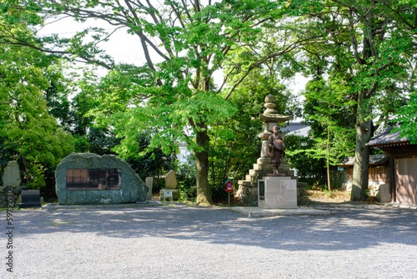 Fototapeta 福井県敦賀市　気比神宮