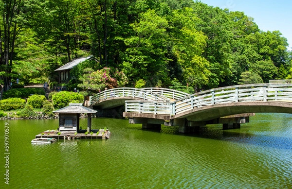 Obraz 薬師池公園の春｜みずみずしい新緑の季節は、タイコ橋が美しく際立って見えます
