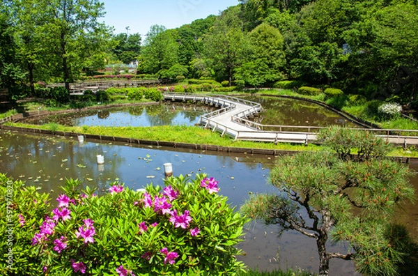 Obraz 薬師池公園,町田,町田薬師池公園,藤,藤の花,藤棚,艶やか,紫,紫色,花,春,初春,新緑,青空,東京都,公園,美しい,妖艶,映える,緑,青,満開,フジ,ふじ,植物,風景,花びら,自然,晴れ,日本,観光地,観光,和風,情緒,情緒的,安らぐ,安らか,穏やか,しなやか,古風
