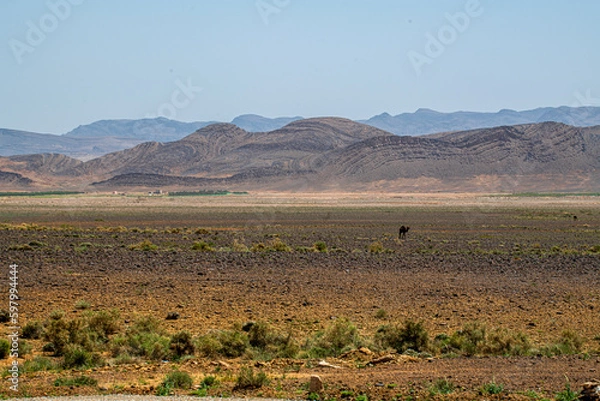 Fototapeta Curly Mountains 