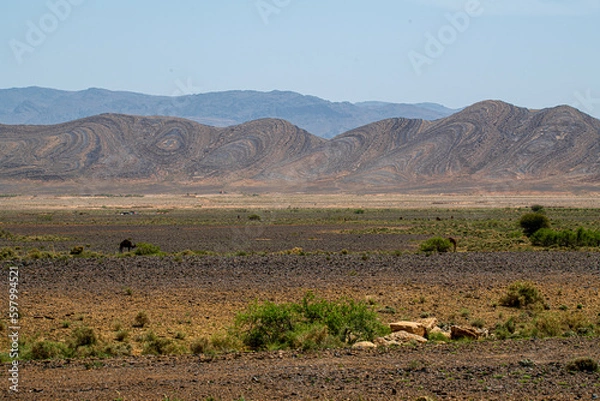 Obraz Curly Mountains 