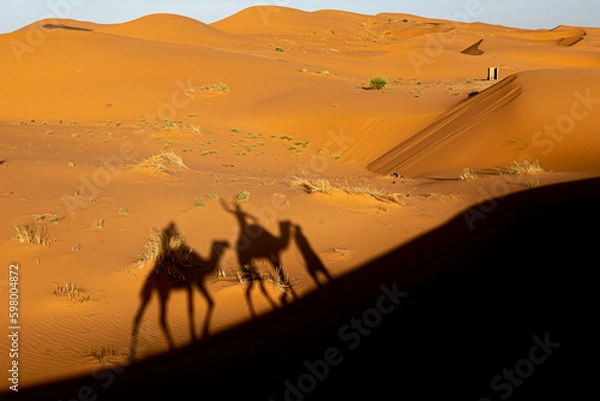 Fototapeta Sahara magic