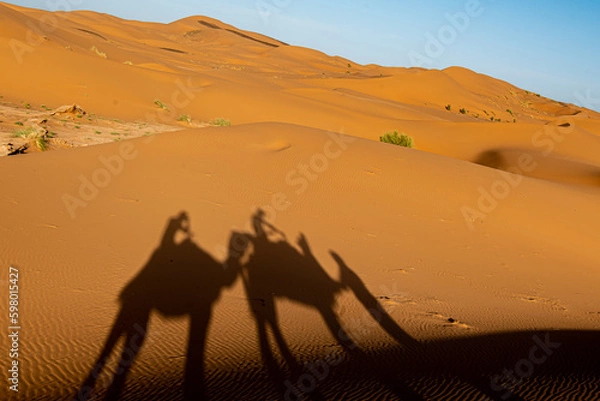 Fototapeta Sahara magic