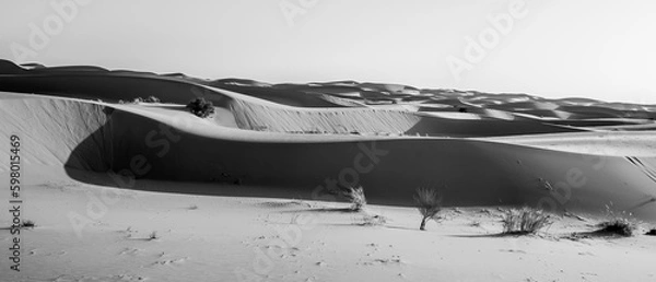 Fototapeta Sahara magic