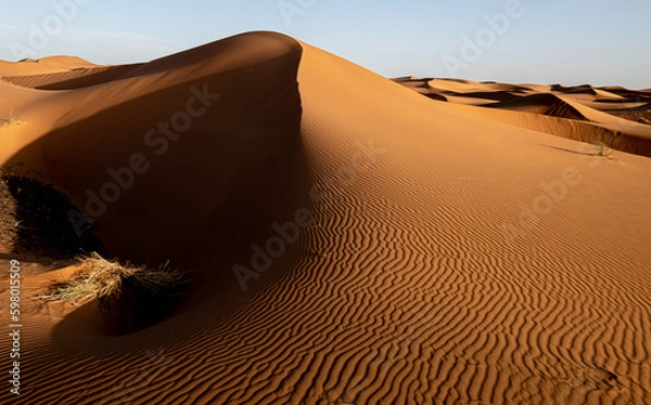 Fototapeta Sahara magic