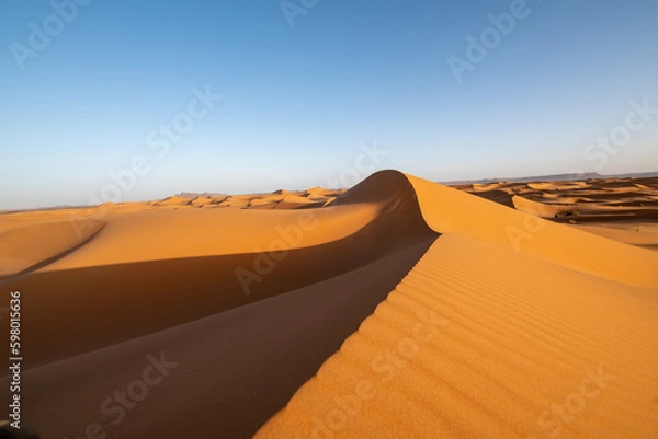 Fototapeta Sahara magic