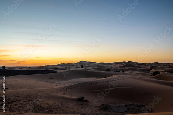 Fototapeta Sahara magic