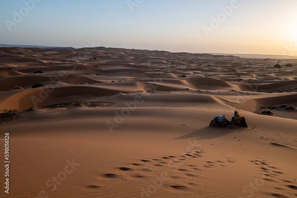 Fototapeta Sahara magic