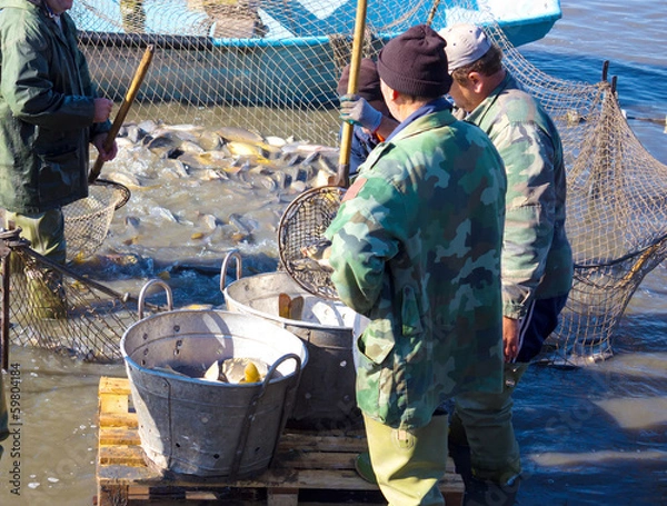 Obraz Workers in the fisheries