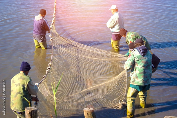 Obraz Pulling a Fishing Net