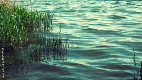 Obraz Water surface with ripples and sunlight reflections. Beautiful lakescape as a natural background