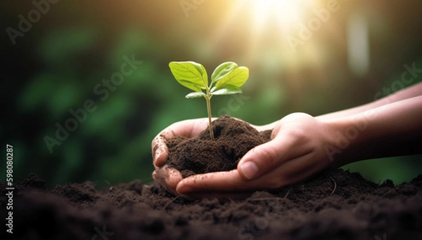 Fototapeta hands holding seedling on white background,ecology concept generative ai