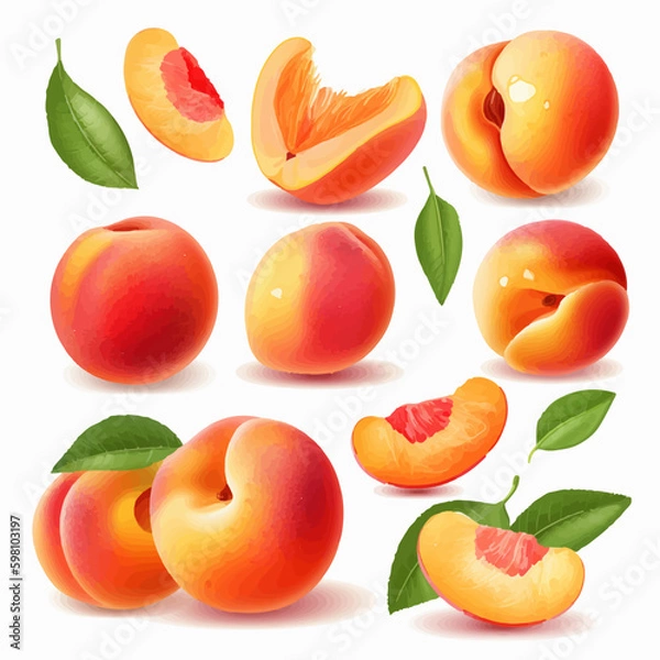 Fototapeta Enhance your artwork with this pack of high-quality peach vector graphics.