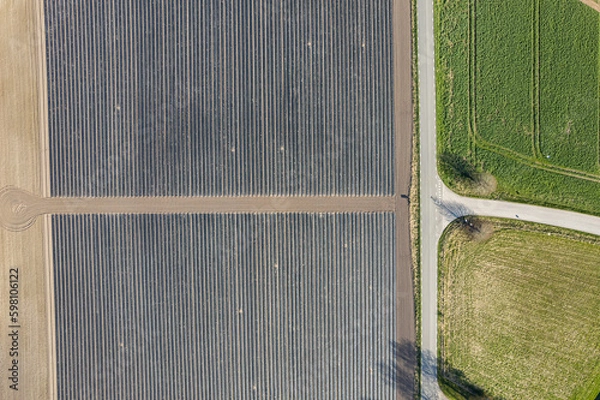 Obraz Aerial view on big planted fields on a sunny day. Harvest, crop on the fields. Symbol of agriculture industry. Work on the field. Top view on field textures, plantations.