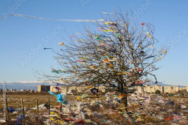 Obraz wind at the dump