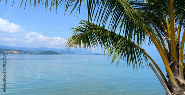 Fototapeta Tropical beach with palm trees and blue sky in Thailand.