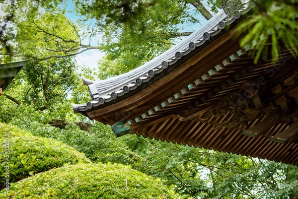 Obraz 日本の寺社建築の美しさのひとつは屋根の軒ぞりです